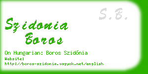 szidonia boros business card